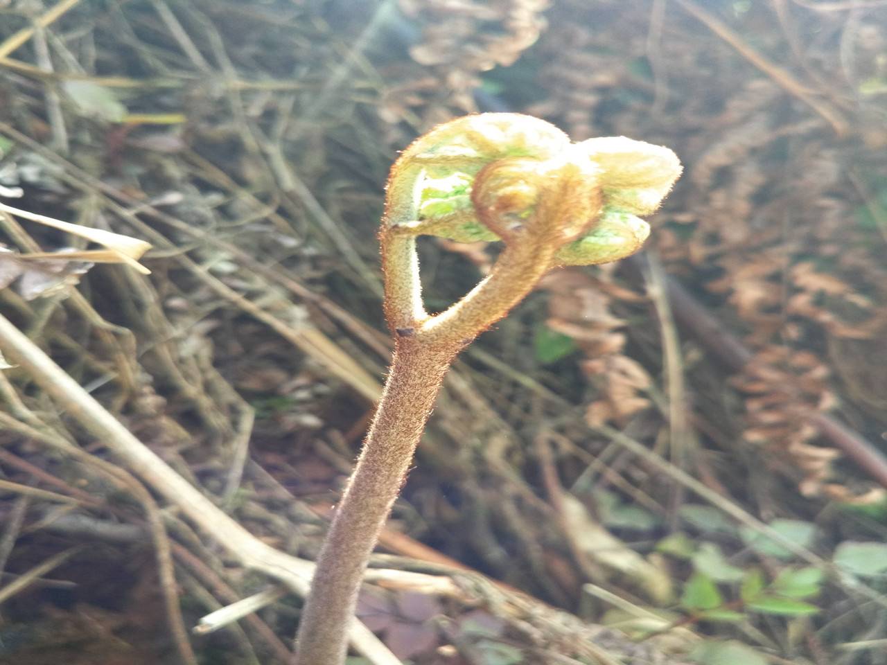 侯家山寨高山居農(nóng)家樂